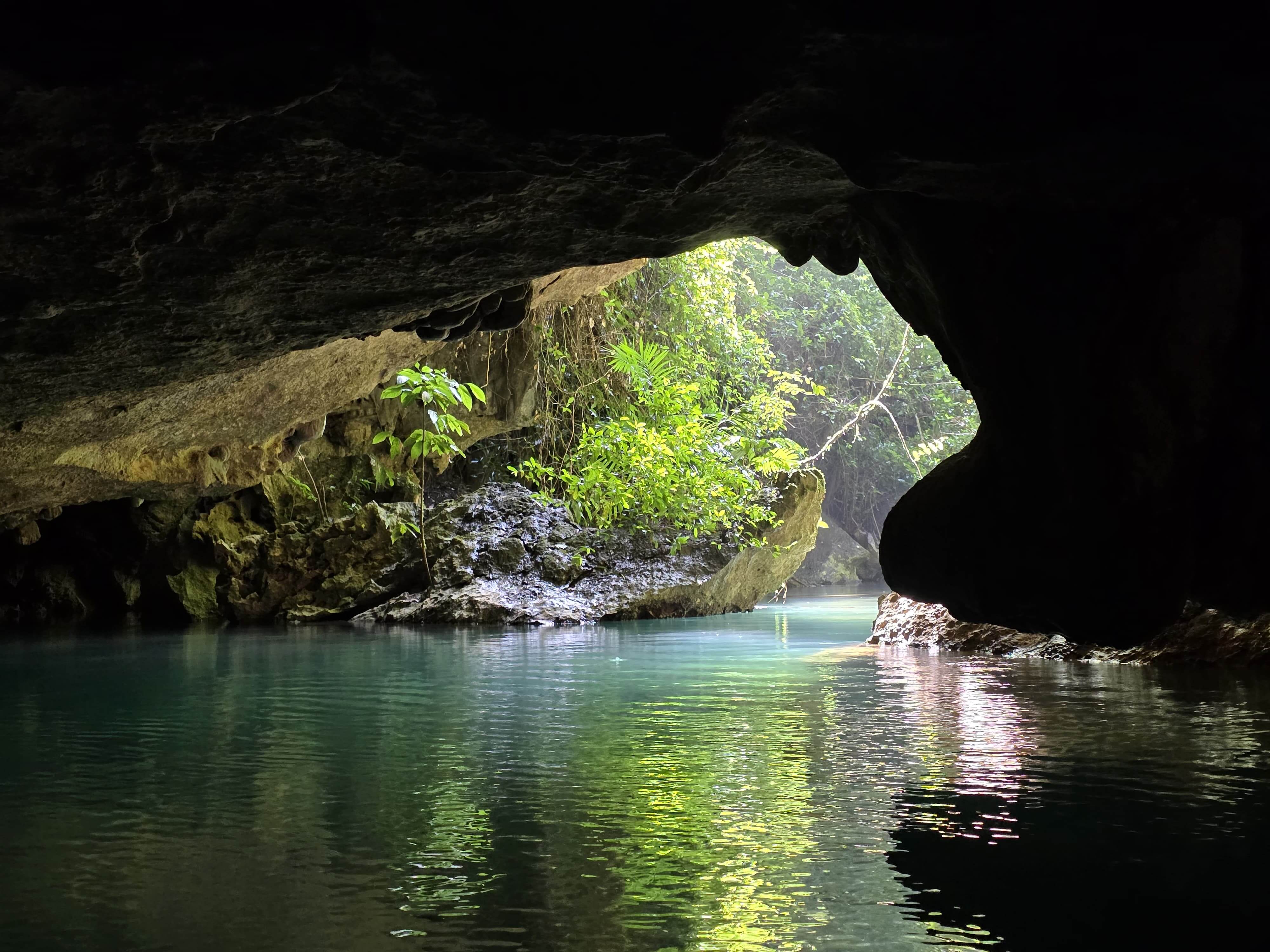 Lush Belize jungle cave entrance