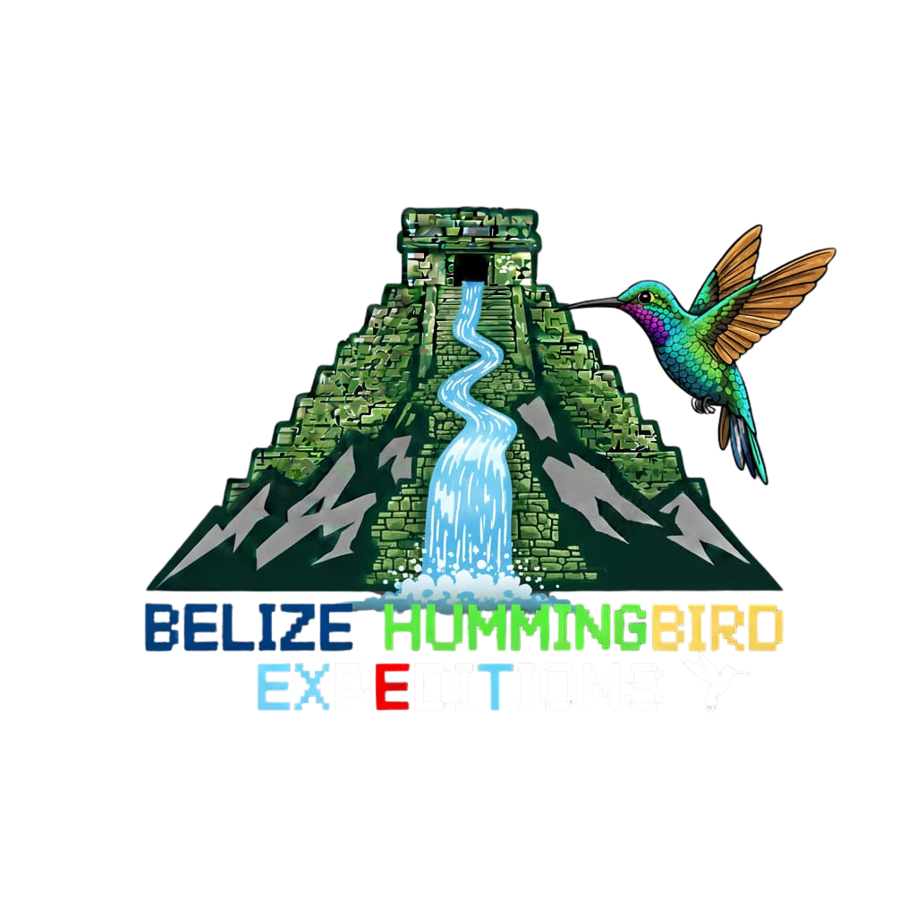 Belize Hummingbird Expeditions